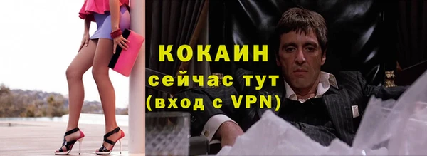 спиды Дмитриев