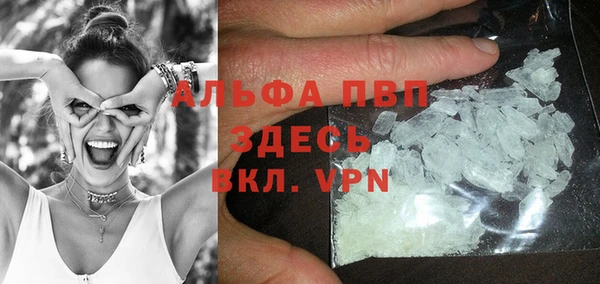 мяу мяу мука Дмитров
