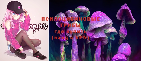 спиды Дмитриев