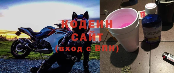 спиды Дмитриев