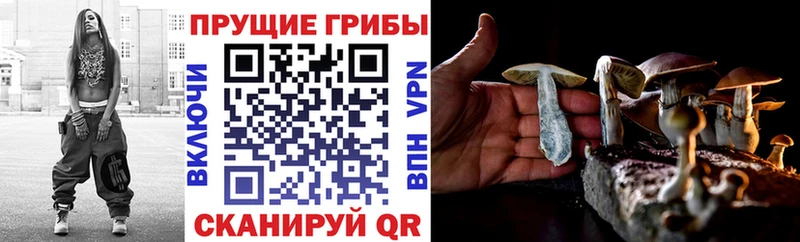 Купить закладки  Фёдоровский  Псилоцибиновые грибы мухоморы 